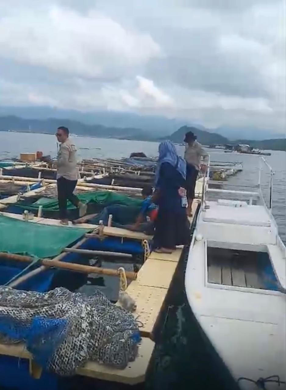 Terjadi Kematian Lobster Hasil Budi Daya , Tim Teknis Turun Lapangan