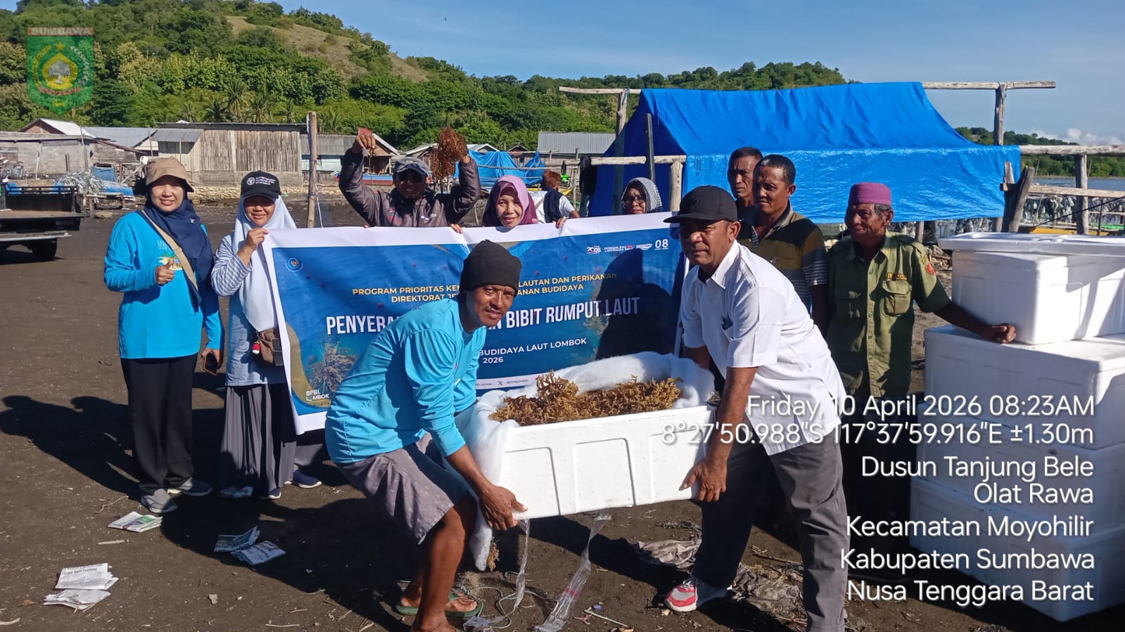 Pokdakan Tanjung Bele menerima Bantuan Bibit Rumput Laut Kultur Jaringan